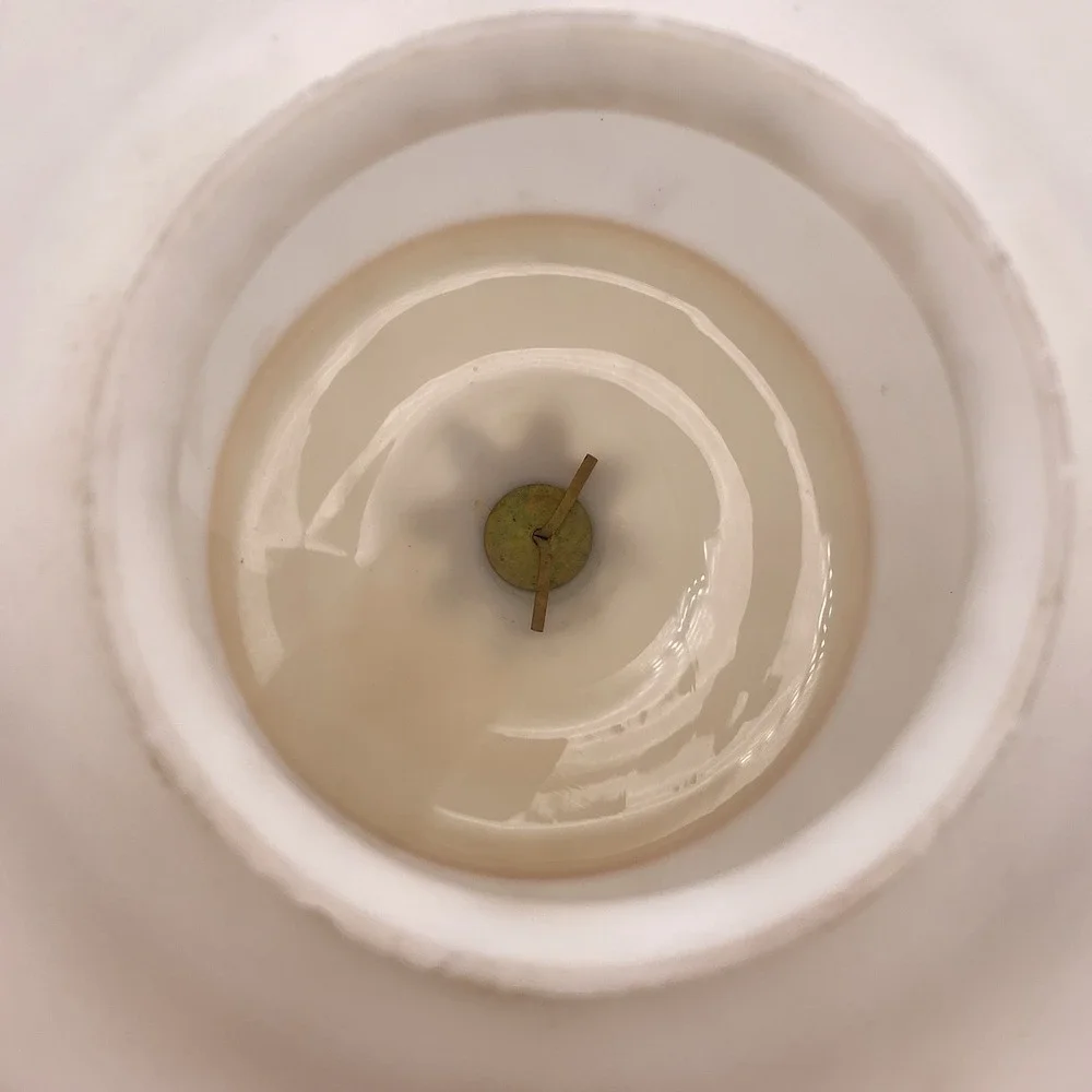 Vtg Satin Glass Hand Painted Rose Floral Ceiling Light Shade Globe‎ Jewel Drop